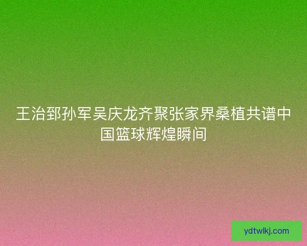 王治郅孙军吴庆龙齐聚张家界桑植共谱中国篮球辉煌瞬间
